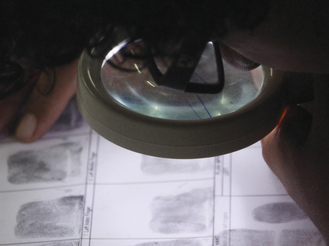 stray dog lying down